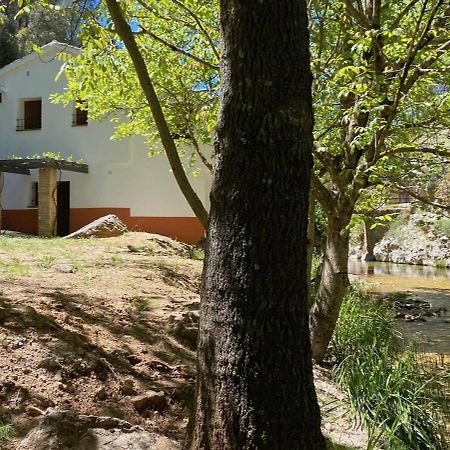 Casa Rural Molino Jaraiz Yeste Eksteriør bilde