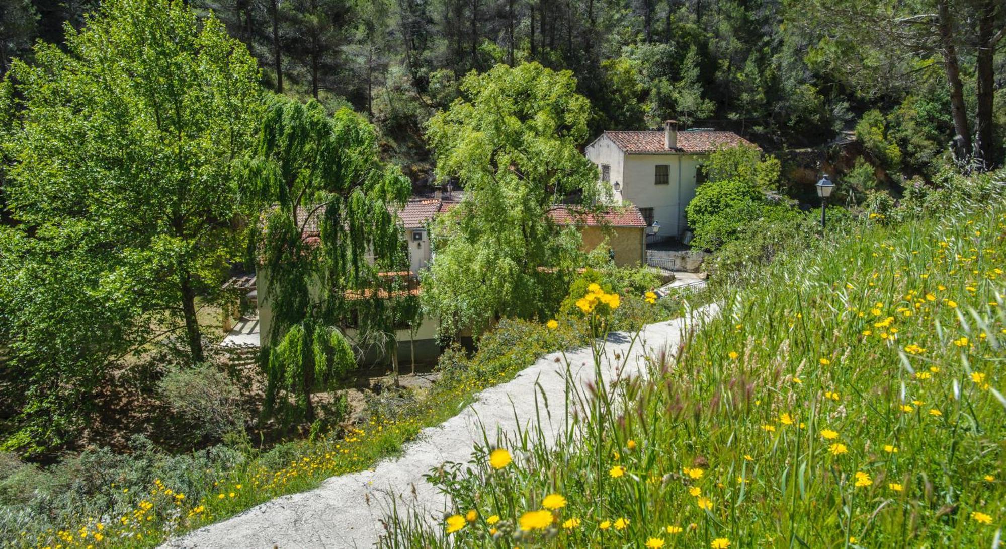 Casa Rural Molino Jaraiz Yeste Eksteriør bilde